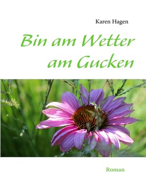 cover image of Bin am Wetter am Gucken